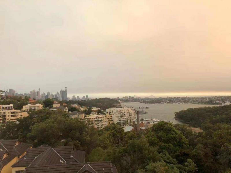澳大利亚新州因森林大火再次进入紧急状态