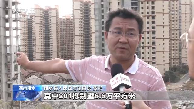 海南陵水违法房地产项目201栋别墅等违建被拆除