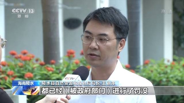 海南陵水违法房地产项目201栋别墅等违建被拆除