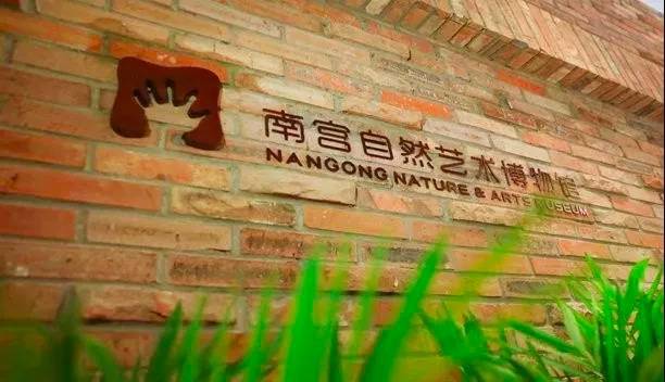 坐拥朱鹮标本和33米环屏 博物馆首次建在北京“村里”