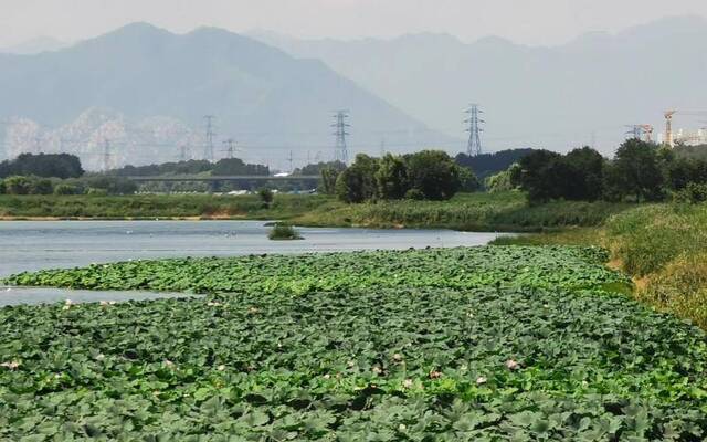 清河站和沙河站：回忆杀！北郊农场的“大红果儿”