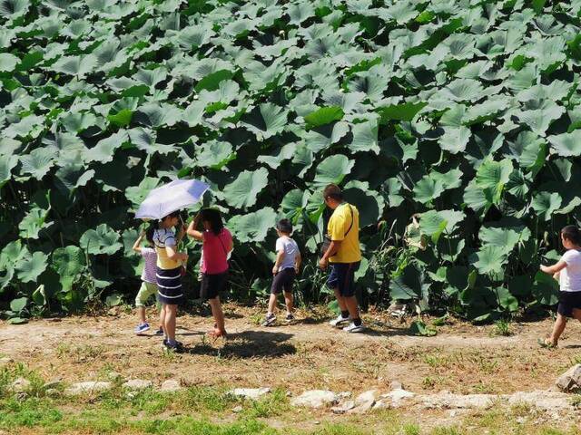 清河站和沙河站：回忆杀！北郊农场的“大红果儿”