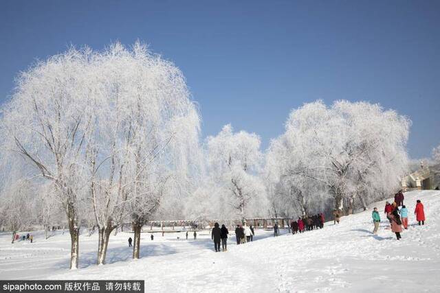 吉林迎首场大面积雾凇奇观 似梦幻仙境(图)