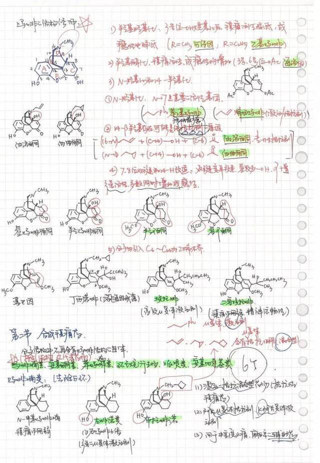 △黄子瑶药学院