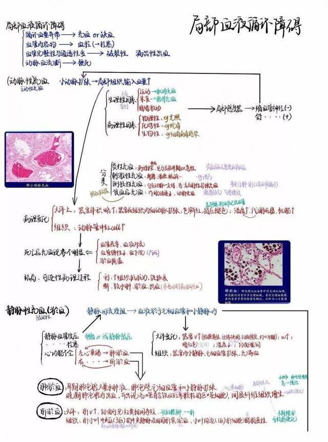 顶尖高校学霸晒