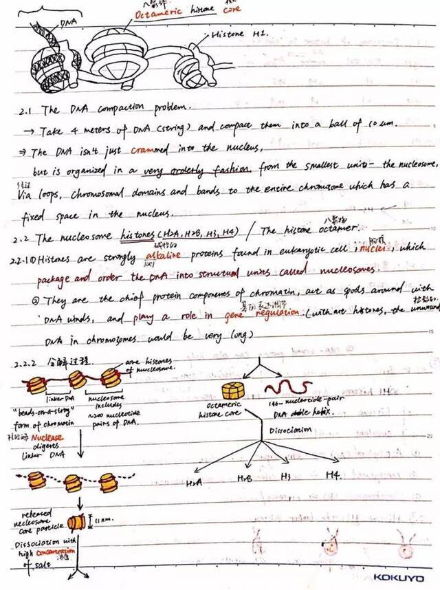 顶尖高校学霸晒