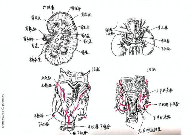 顶尖高校学霸晒