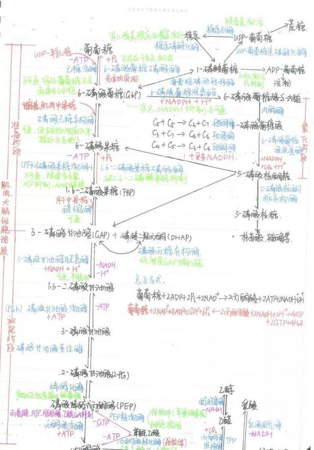 顶尖高校学霸晒