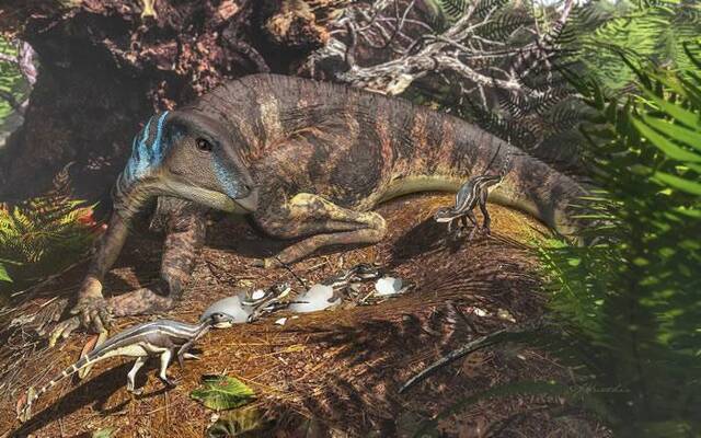 古生物学家首次在澳大利亚境内发现婴儿恐龙骨骼化石距今1亿年前体重仅198克