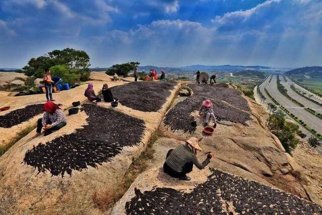 闽天福地冬韵图