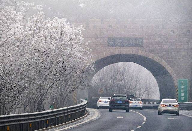 京藏高速东老峪段现雾凇奇观