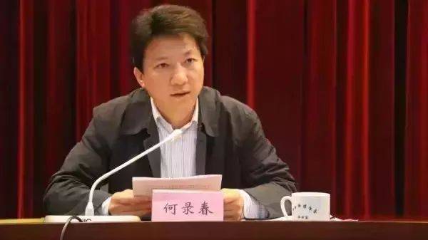 海南儋州市长朱洪武调任湖南永州市委副书记