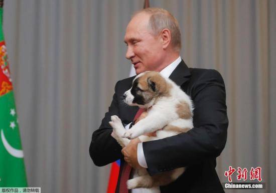 资料图：怀抱宠物狗的俄总统普京。