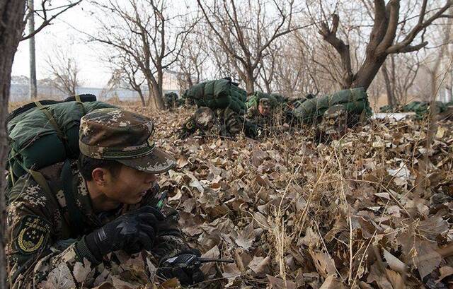 “前方有情况，注意隐蔽。”一声令下，武警官兵立即就近趴在草丛中。