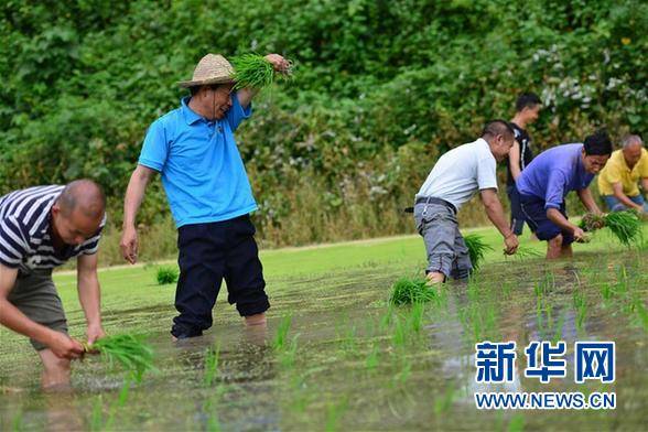 干部去哪儿了？——贵州干部大规模下沉脱贫攻坚一线纪实