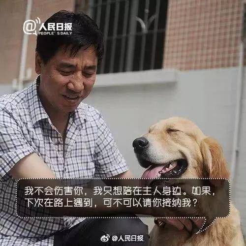 上海地铁一男子多次骚扰导盲犬 女孩制止被骂一路