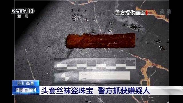 男子头套丝袜盗珠宝 没想到被一袋辣条暴露了(图)