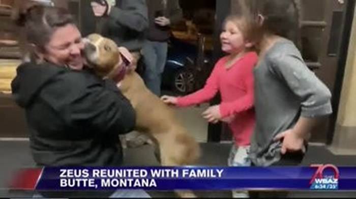 美国蒙大拿州一只狗狗被偷走离家3218公里 15位好心人开车接力送它回家
