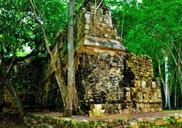 墨西哥犹加顿州提兹明的玛雅古城遗迹库鲁巴新发现55米长玛雅宫殿以野狗和水命名