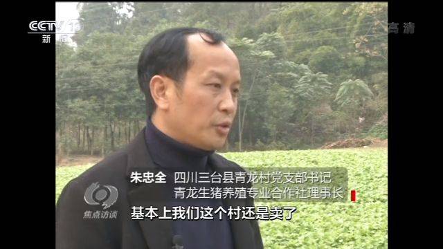 生猪产能“保卫战”打响 这些养殖户们有秘诀