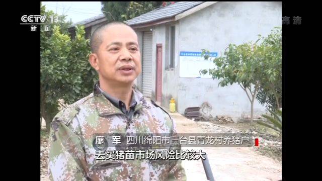 生猪产能“保卫战”打响 这些养殖户们有秘诀