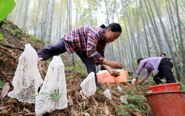 攻坚关键年 上千万中国人告别贫困