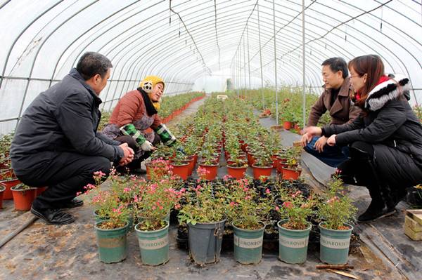 镜头  精准监督 推动重大决策部署落地见效