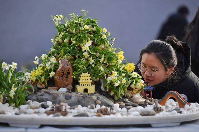 漳州水仙进京贺岁 水仙花文化艺术展亮相花卉大观园