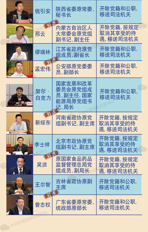 2019打虎简报打虎不停，但不仅仅是打虎