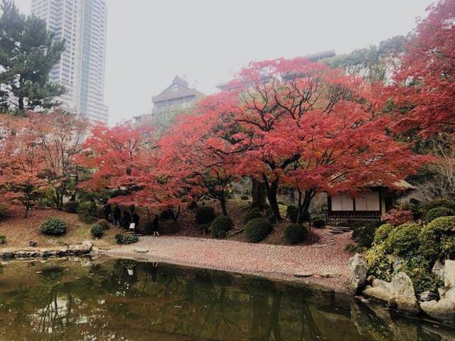 逛缩景园、登纸鹤塔，探寻广岛市的过去、今天与未来
