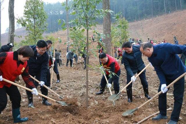 全省林业部门率先行动拉开百万亩国土绿化序幕