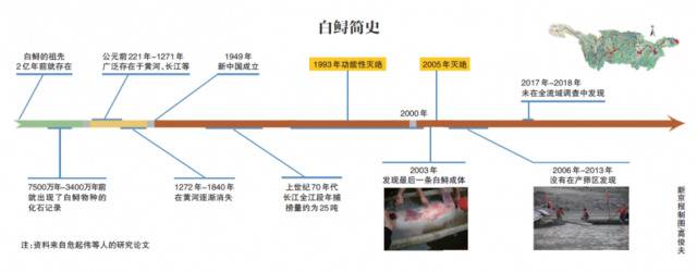 长江白鲟宣告灭绝，2003年后再无白鲟实体现身