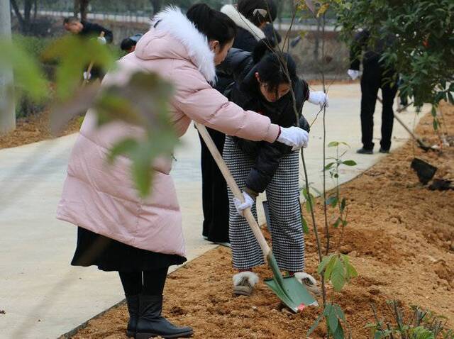 2020年从“林”开始——龙游县开展义务植树活动