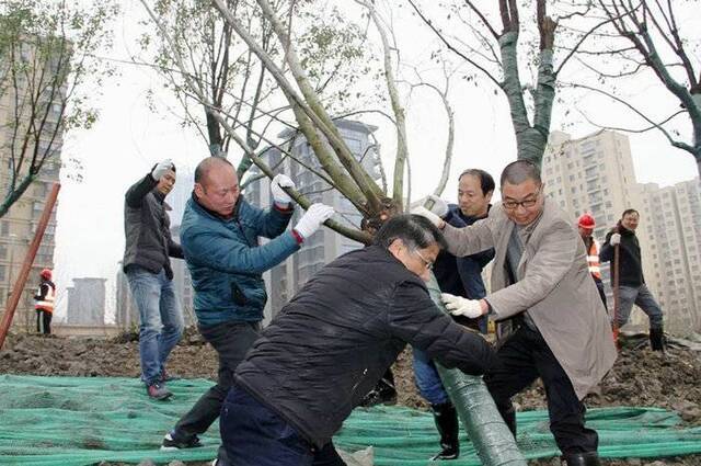 绍兴市自然资源和规划系统市县联动开展义务植树活动