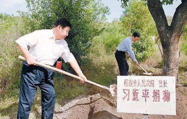  2001年10月，时任福建省省长习近平到长汀县调研水土流失治理工作，在河田世纪生态园为他捐种的香樟树培土浇水。