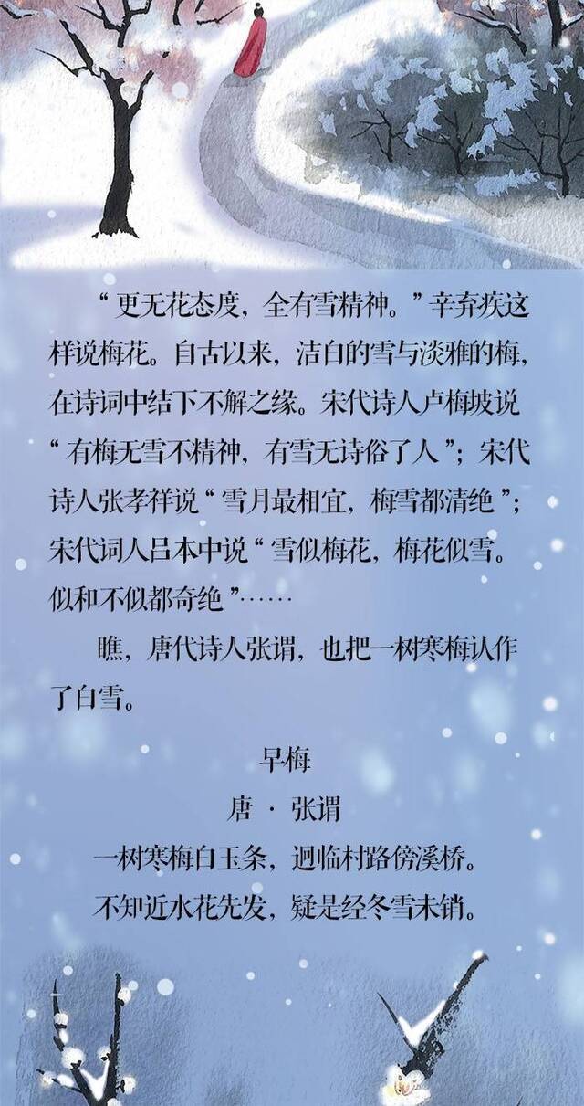 小寒·长卷丨梅花先趁小寒开，到诗词里踏雪寻梅