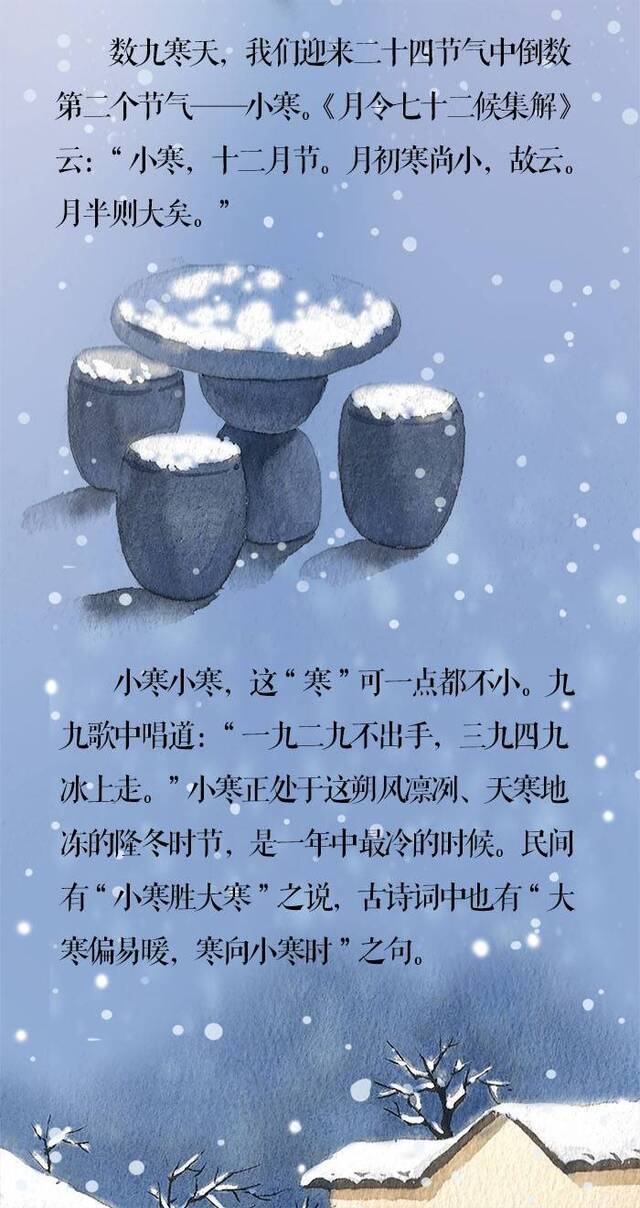 小寒·长卷丨梅花先趁小寒开，到诗词里踏雪寻梅