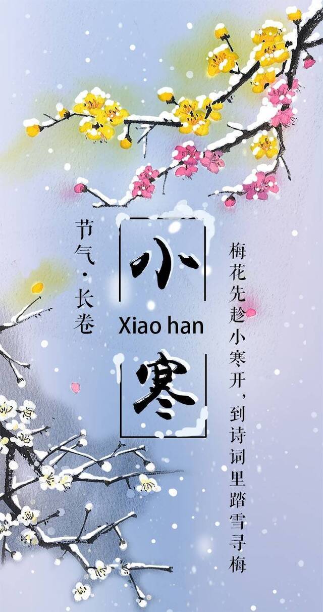 小寒·长卷丨梅花先趁小寒开，到诗词里踏雪寻梅