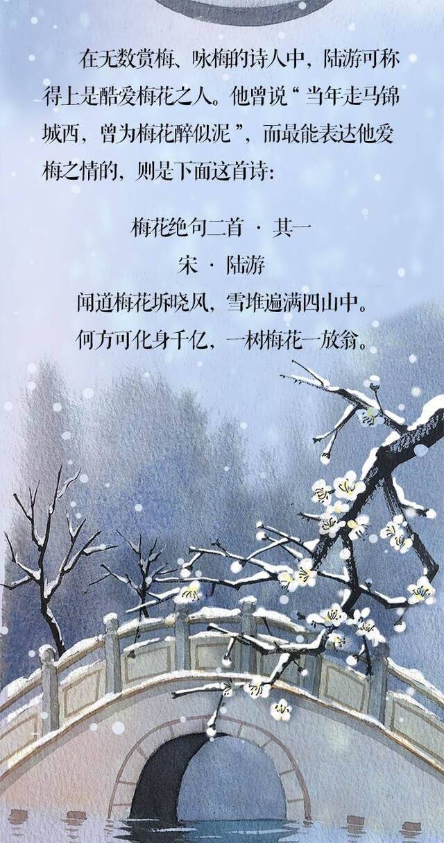 小寒·长卷丨梅花先趁小寒开，到诗词里踏雪寻梅