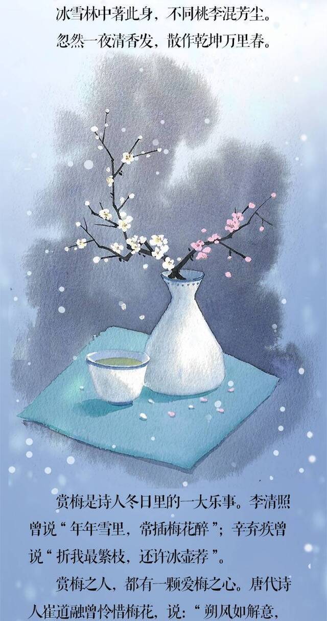 小寒·长卷丨梅花先趁小寒开，到诗词里踏雪寻梅