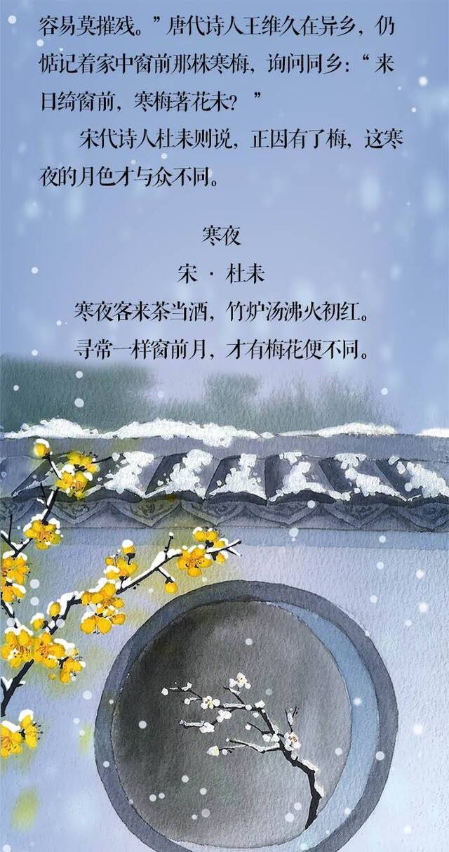 小寒·长卷丨梅花先趁小寒开，到诗词里踏雪寻梅