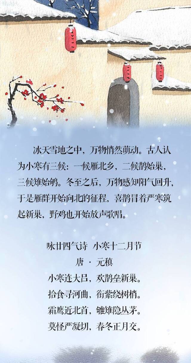 小寒·长卷丨梅花先趁小寒开，到诗词里踏雪寻梅