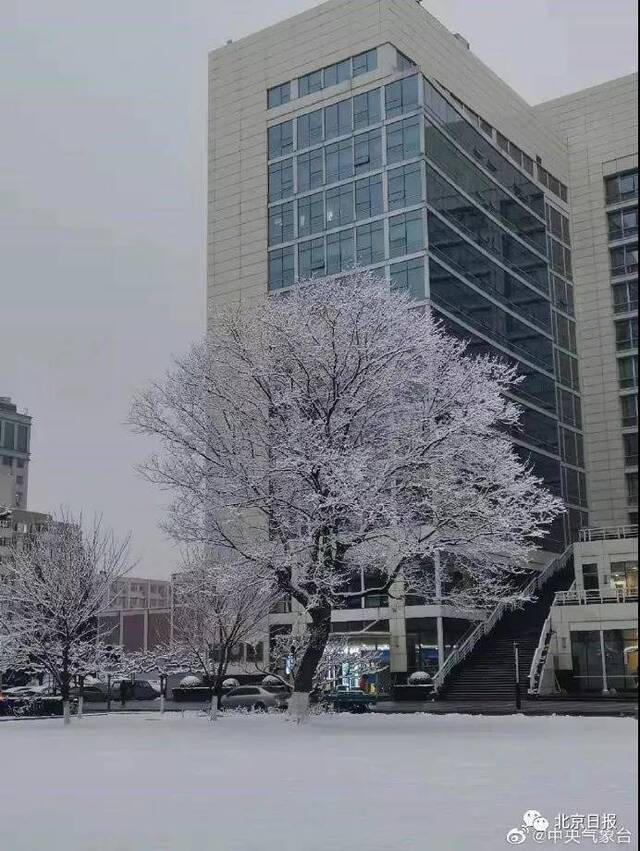 2020第一场雪上热搜 网友发来灵魂追问