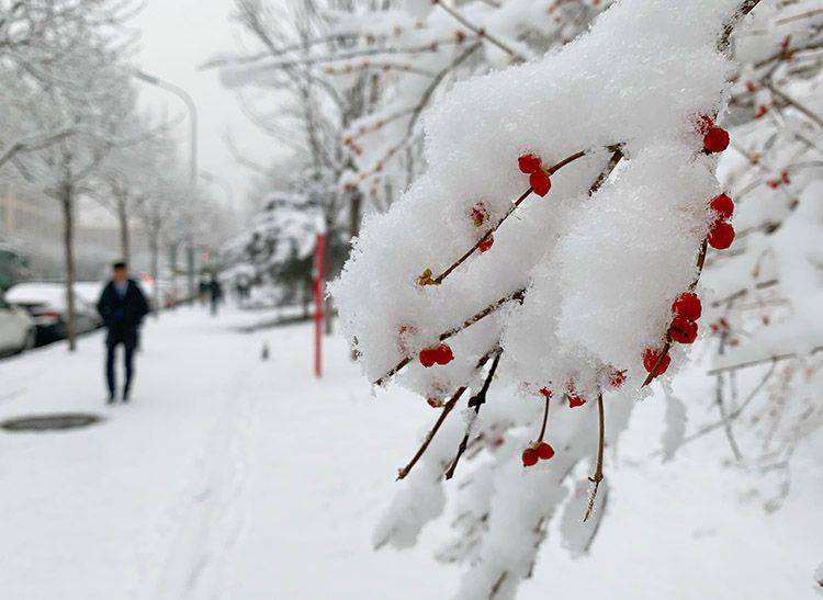 2020初雪（四）白雪漫路 一步一景