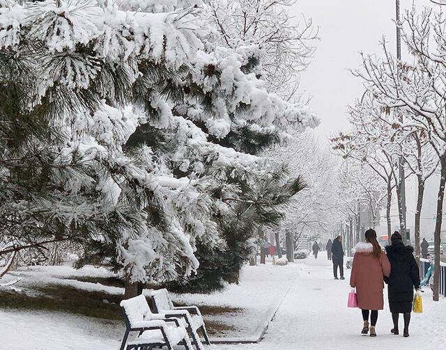 2020初雪（四）白雪漫路 一步一景