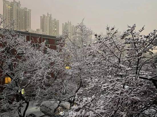 2020第一场雪上热搜网友灵魂拷问 故宫发来美景图