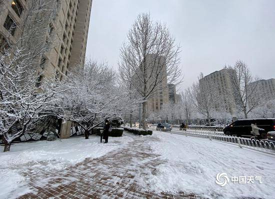 2020北京首场雪刷屏朋友圈 今冬的雪下得很认真