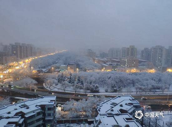 2020北京首场雪刷屏朋友圈 今冬的雪下得很认真