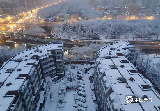 2020北京首场雪刷屏朋友圈 今冬的雪下得很认真