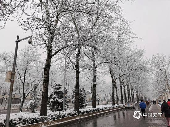 2020北京首场雪刷屏朋友圈 今冬的雪下得很认真